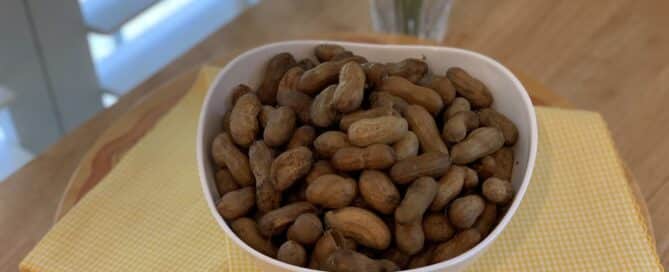 Green peanuts cooked in salted water are a delicious summertime treat!